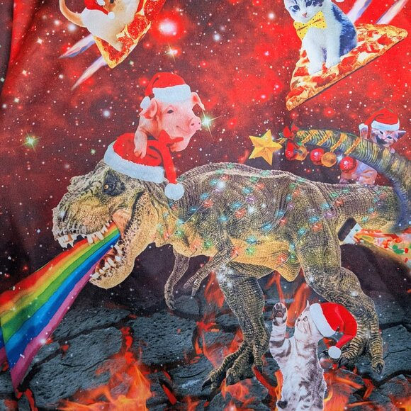 Christmas Sweatshirt Galaxy Dinosaur Flying Cats Pigs Santa Hat Rainbow Medium - Picture 12 of 15